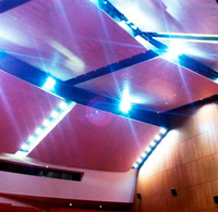 Covering walls and ceiling. Niemeyer Auditorium. Aviles